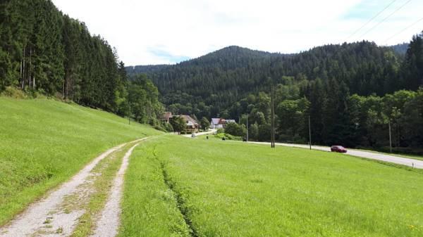 Be Me Black Forest Family Apartment -Zum Letzten G'Stehr Bad Rippoldsau-Schapbach Bagian luar foto